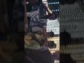 قلبي جريء ودماغي ملعونه وقت الحروب مسنونه لايك 