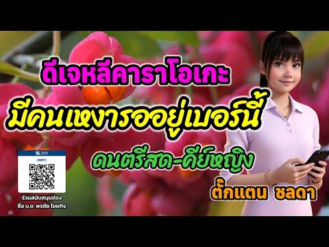 มีคนเหงารออยู่เบอร์นี้(คีย์หญิง) - คาราโอเกะ