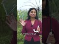 The challenges and rewards of organic farming in Canada | #farming