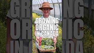 The challenges and rewards of organic farming in Canada | #farming