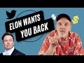 Elon Musk | Twitter Deal and how it impacts you!