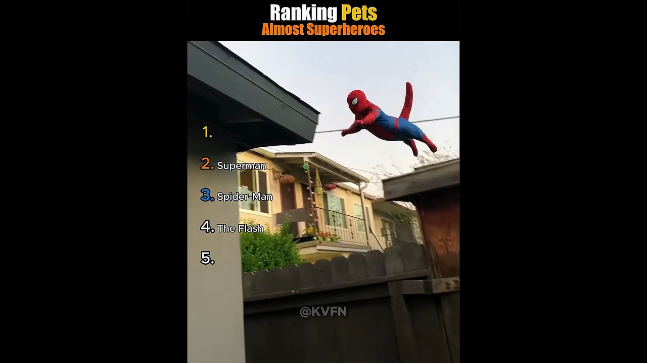Ranking Pets Almost Superheroes