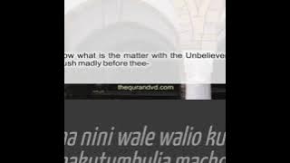 Surah Al Maarij Ayat 36-44