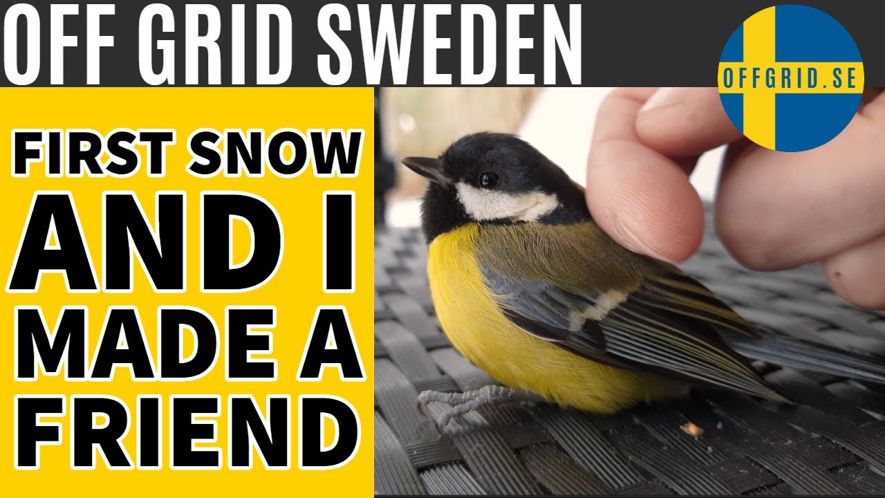 First Snow Of The Season - YouTube