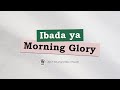 Morning Glory July 21 2025 Morning Glory July 21 2025