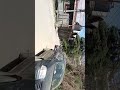 Jakhu temple | Shimla | Beautiful place