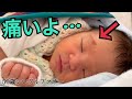 新生児虐待!? 痛々しいおでこの傷の原因について -50歳シングルファザーVlog-