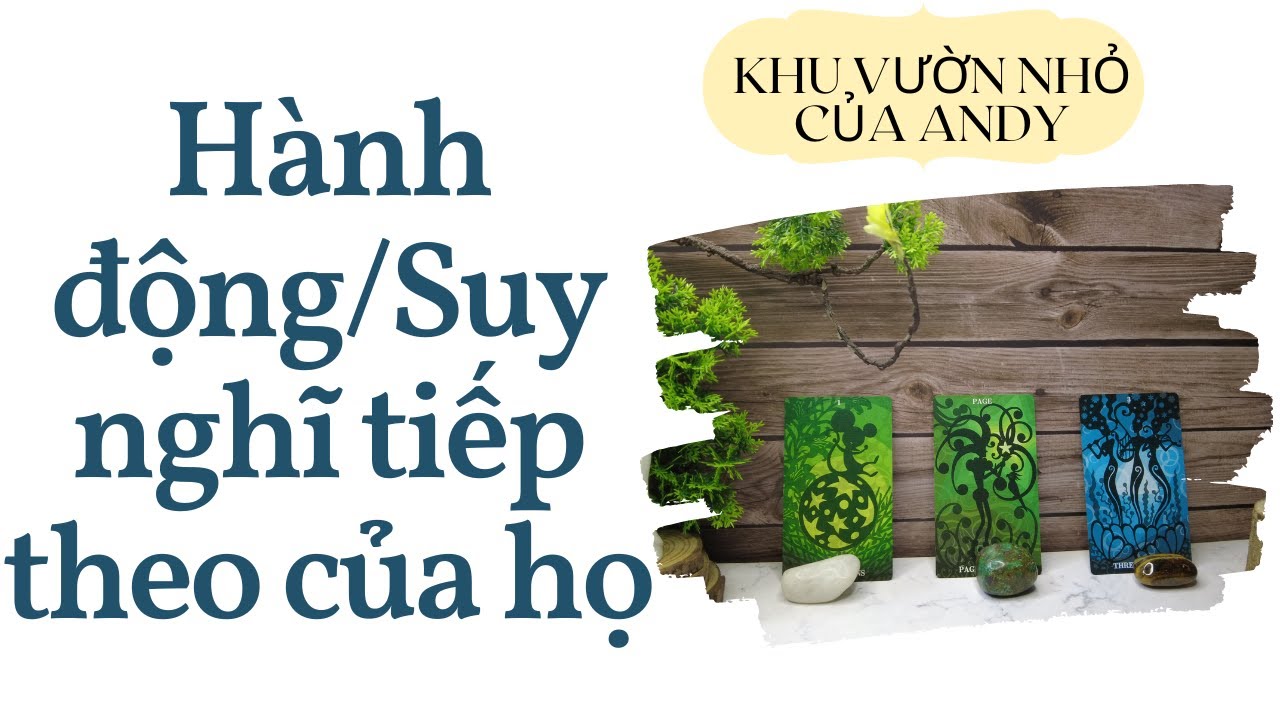 Hành động suy nghĩ tiếp theo của họ {Crush/Ex/Đang tìm hiểu} | Chọn 1 tụ bài | Xem tarot