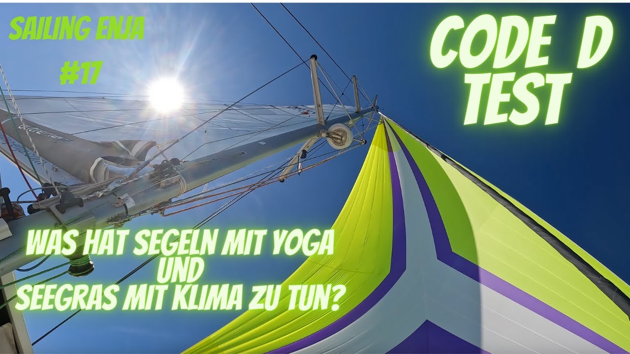 ⁣Was hat Segeln mit Yoga und Seegras mit Klima zu tun? Code D Test