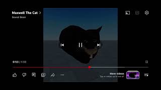 https://youtu.be/vIgnPmmcSXs?si=qXtRBKU75hhHX8l4 Cat song