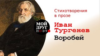 И.С. Тургенев - Стихотворения в прозе - Воробей  |  Классики русской литературы