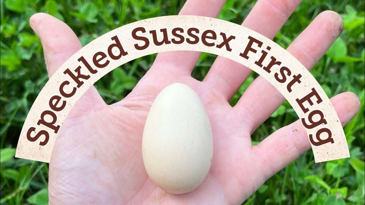 My Farm’s Journey - Aug. 2023 (85)