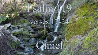 Pslam 119 Gimmel