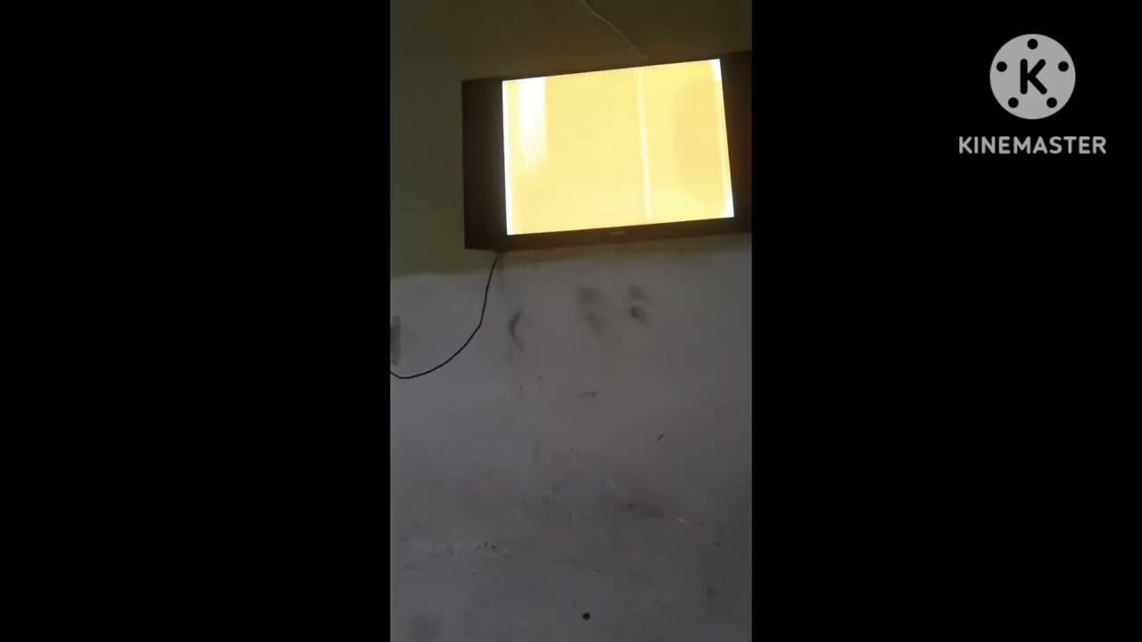 Cronologia de Separadores RTP Internacional 1992-2026