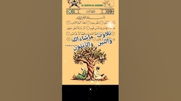 سورة التين والزيتون [تلاوة سورة التين ۔تلاوت] (Quran) #mshafiqhassain