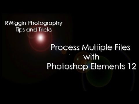 Process Multiple Files with Photoshop Elements 12