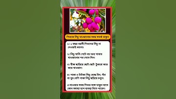 general knowledge || quiz | spinal cord I part-102