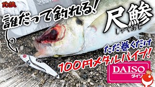 ダイソー100均メタルバイブ堤防釣り！これであなたも尺アジゲット！【アジング】