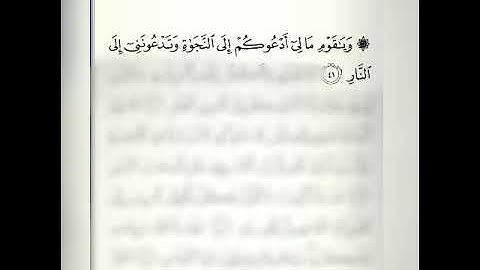 ماتيسر من سوره غافر برواية ورش عن نافع
