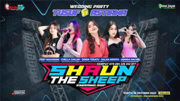 LIVE SHAUN THE SHEEP - WEDDING PARTY PEMUDA YUSUF & ASTIANA - PUCAKWANGI PATI | COUNSTITY AUDIO