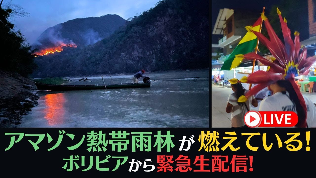 ライブ中継】アマゾン熱帯雨林が燃えている！ボリビアから緊急生配信