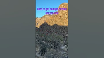 Shadows and Trails - Pima Canyon has an aura this time of year.