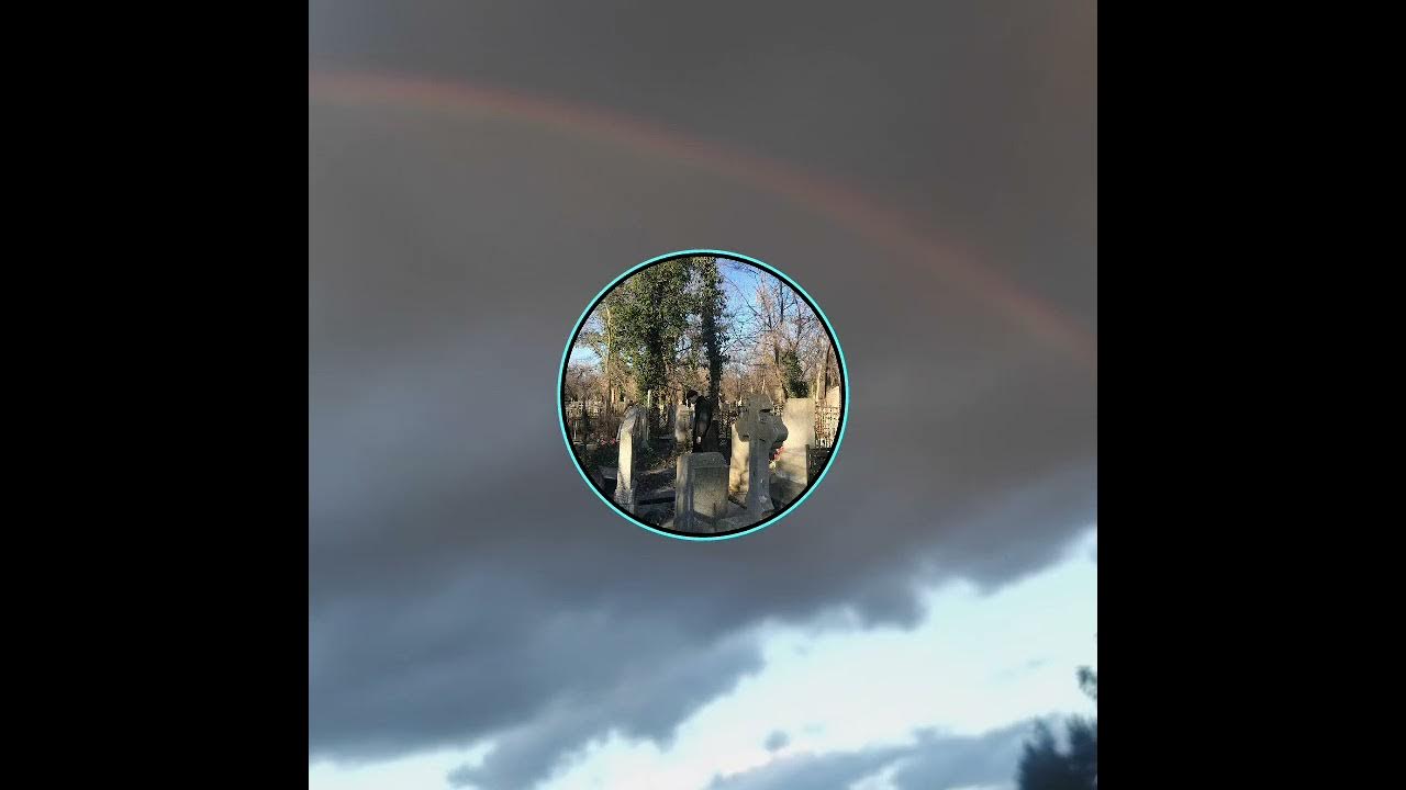 это кладбище надежд кладбище кошмаров