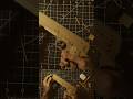 M1911 | Cardboard Gun Making tutorial part 18