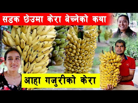 त्रिशुली किनार गजुरीको केरा | किन जानु विदेश सडक किनारमा दिनमै यस्तो आम्दानी | Gajuri Nepal