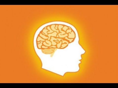 Lumosity Android Gamers Gameplay HD Trailer 2014