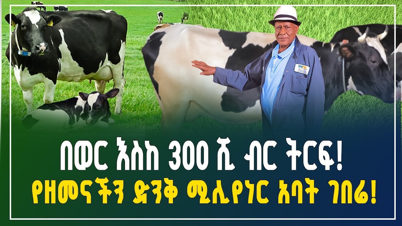 የዘመናችን ድንቅ ሚሊየነር አባት ገበሬ! እስከ 300 ሺ ብር ትርፍ ያለው ስራ! | Agriculture | Gebeya Business