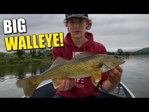 WALLEYE fishing in early SUMMER!