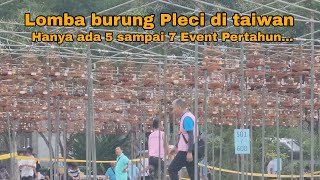 Event Kedua Lomba Burung Pleci Di Taiwan Kicau Mania INDONESIA tetap jadi Sorotan by ACUNK FLOG 7,089 views 2 weeks ago 24 minutes