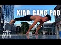 XIAO GANG PAO - LORD OF SUPINE PLANCHE XGP 小钢炮 PT.V