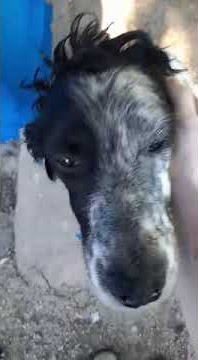 Xena 2022 06 07 at 11 10 16