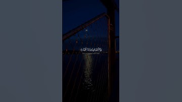 سورة الكافرون || القارئ شريف مصطفى