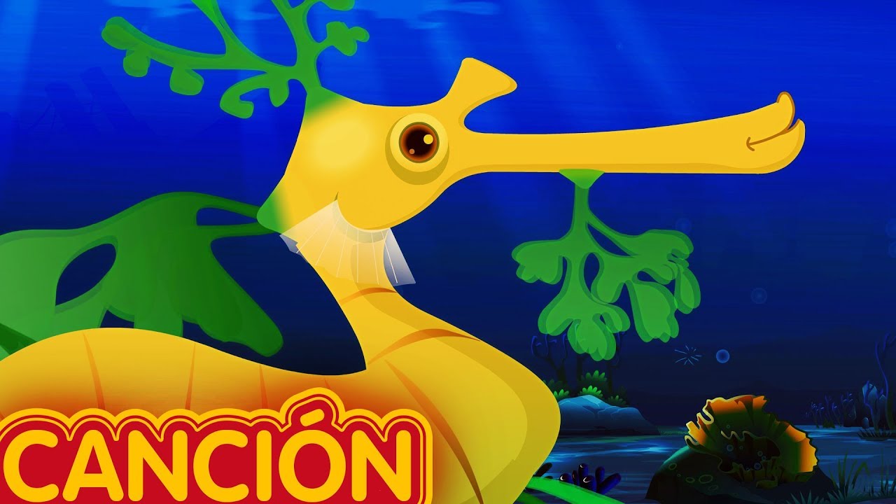 ⁣El Dragón de Mar Foliáceo Canción Infantil | ChuChuTV Mundo Marino | Canciones de Animales