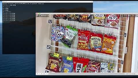 監視カメラをPythonで操作してみました