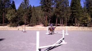 Ollie canter jumps