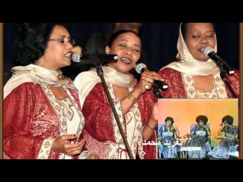 خليل اسماعيل البلابل بشير عباس حيرت افكارى تغريد محمد