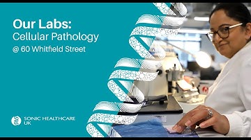 Our Labs: Cellular Pathology @ 60WS