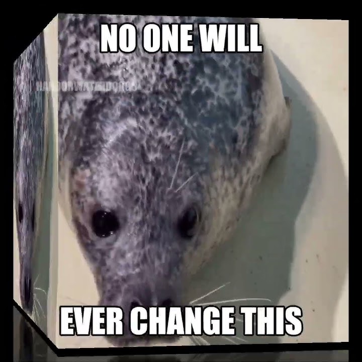 SOMEBODY HELP ME TAME THIS ANIMAL I HAVE BECOME