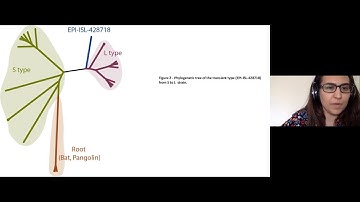 Phylogenetic Analysis of SARS-CoV-2 Genomes in Turkey