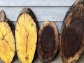 Planing wood cookies and the woodmaster planer video Planing wood cookies and the woodmaster planer video