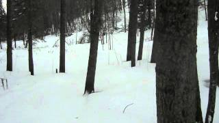 MVI_8601.AVI