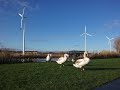 Dublin Array Windfarm