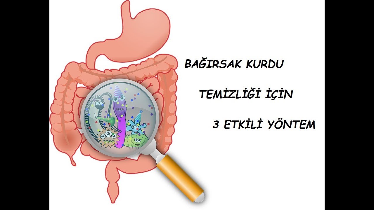 Bağırsak kurtlarının bitkisel tedavisi Bağırsak kurtlarının bitkisel tedavisi