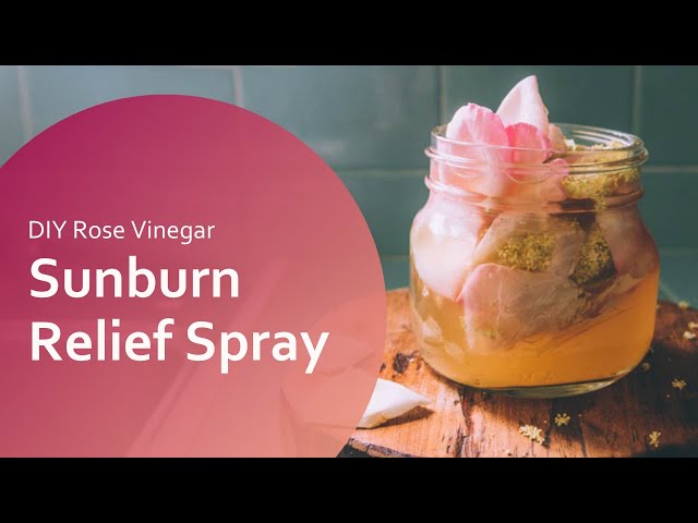 Sunburn Relief Spray  DIY Rose Vinegar 