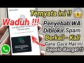 ini Loh Penyebab Wa Kena Spam Berkali Kali || Wa Kena Spam Terus
