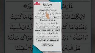 Amanar rasulu bima unzila | Aman Rasool | Surah Baqarah Last two ayats | Surah baqarah last 2 ayat